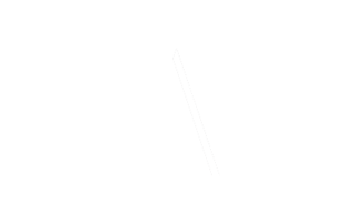 Anne M. Carlson Law office logo in transparent color